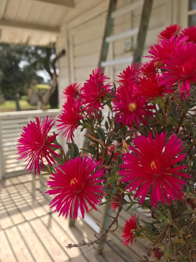 Tenuta I Quattro Venti Otranto Eksteriør bilde
